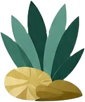 a pine with a leaf on top.jpg